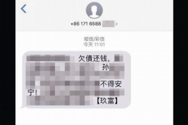 昭阳如何避免债务纠纷？专业追讨公司教您应对之策